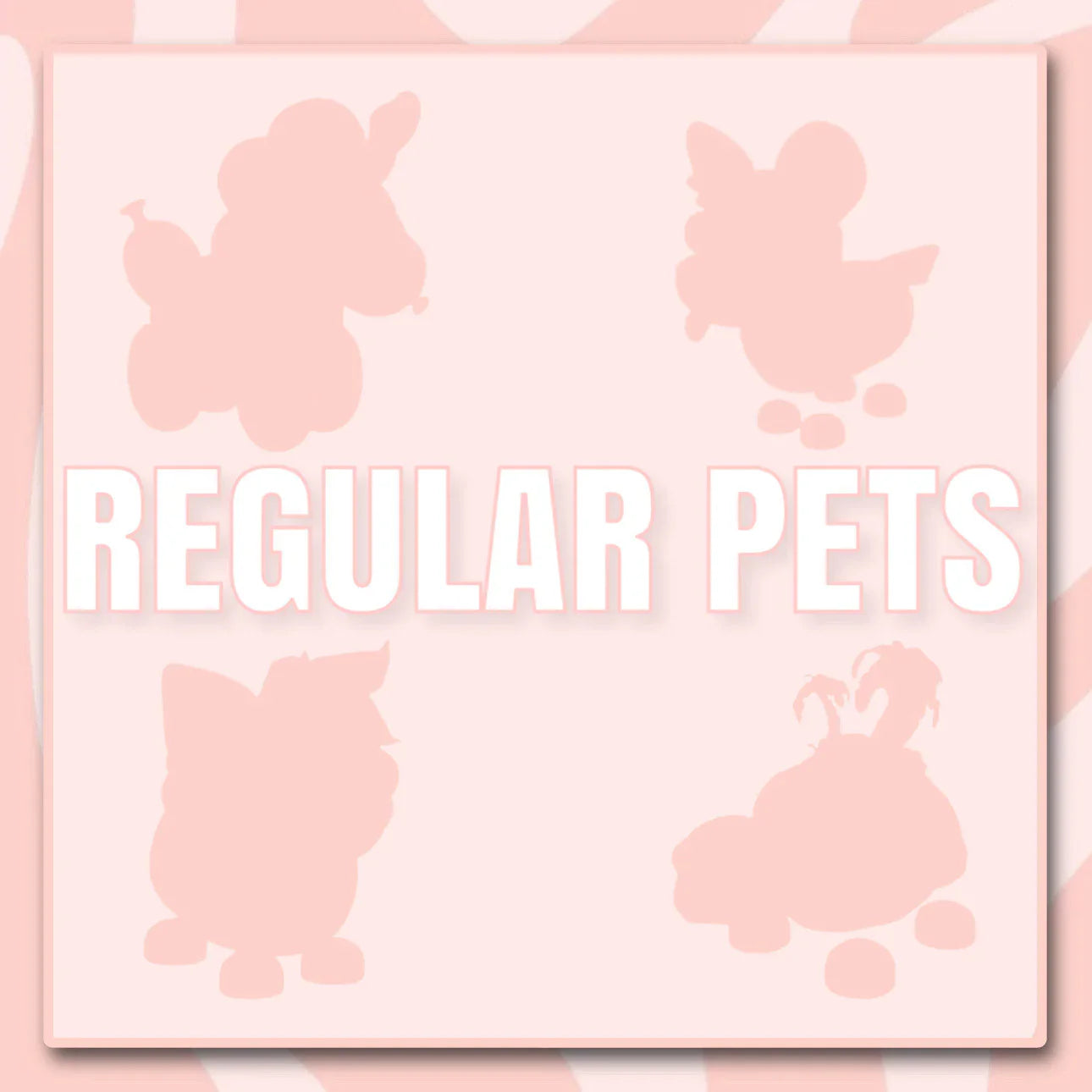 Regular Pets