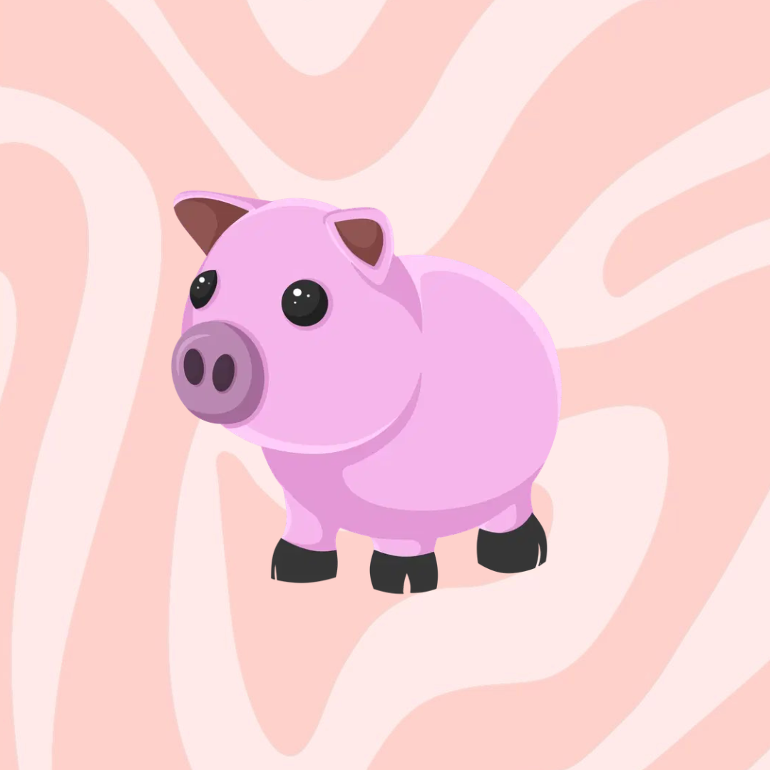 Pig