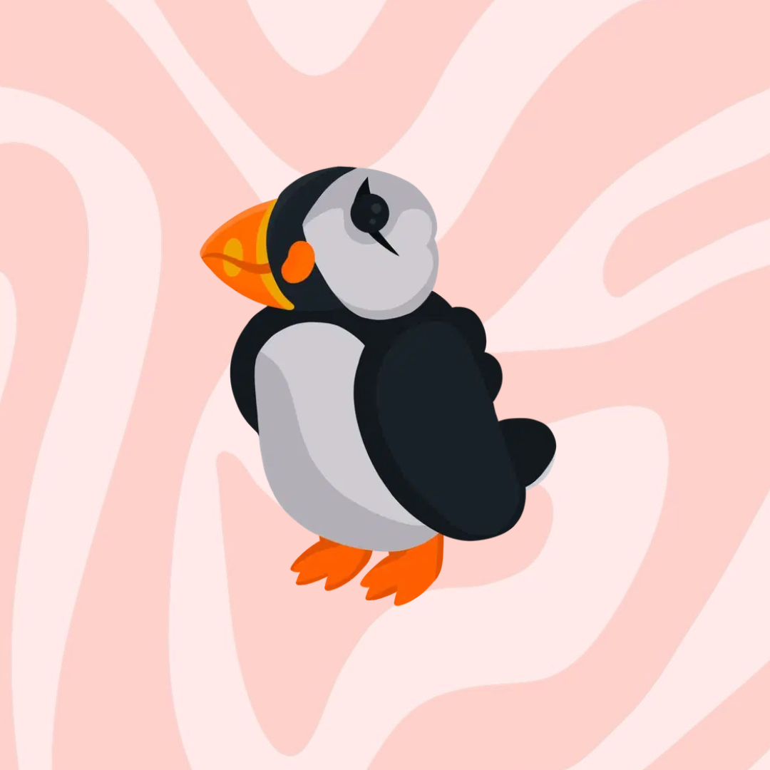 Puffin