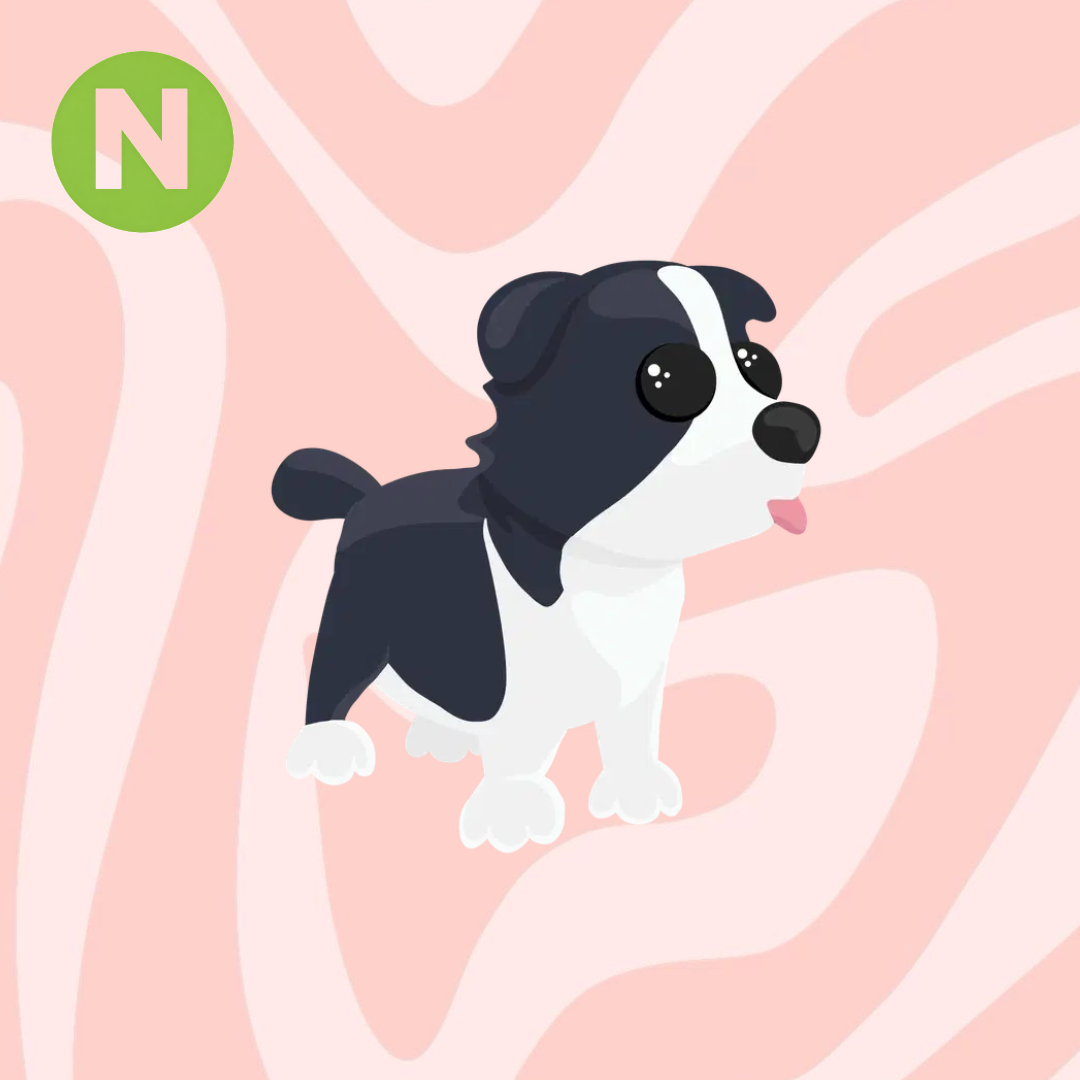 Neon Border Collie