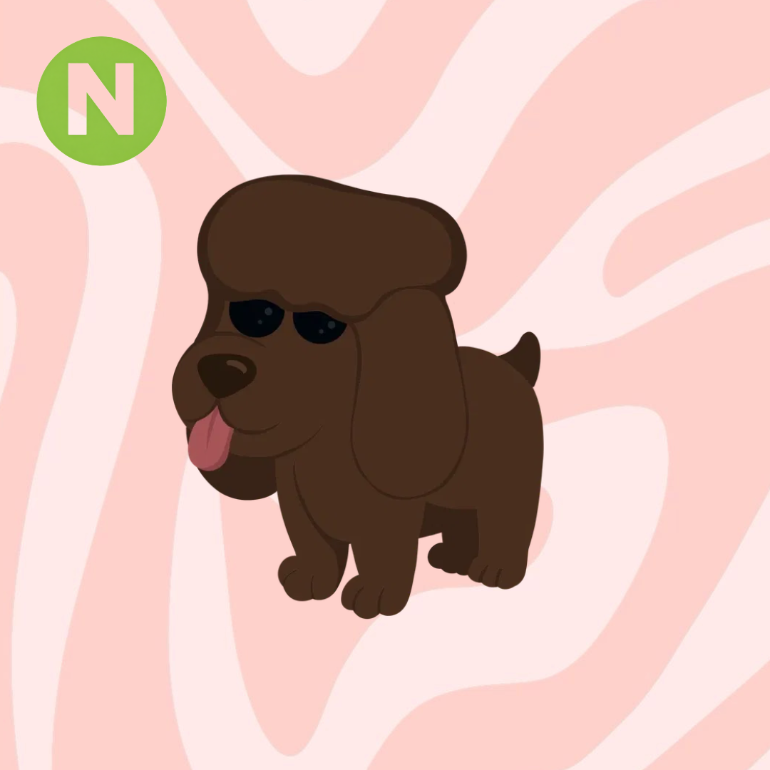 Neon Irish Water Spaniel