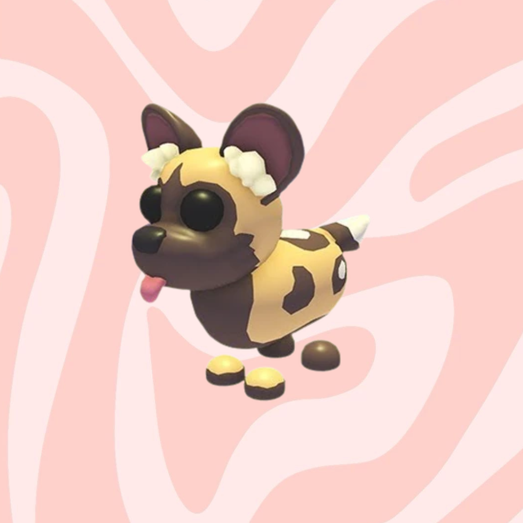African Wild Dog