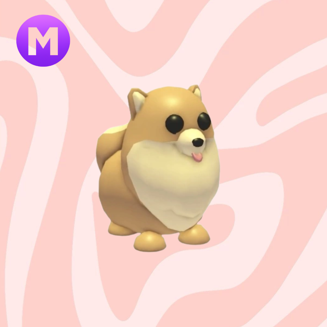 Mega Pomeranian